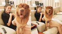 AOAソリョン&愛犬の「幸せな日常」公開