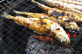 今食べなきゃ損！　江原道名物、旬を迎えたハタハタ