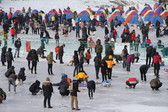 釣りにグルメにそり遊び…平昌マス祭りで冬を満喫しよう！