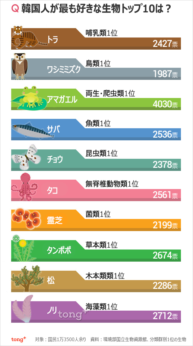 韓国人に聞く：好きな動物・鳥・魚1位は？