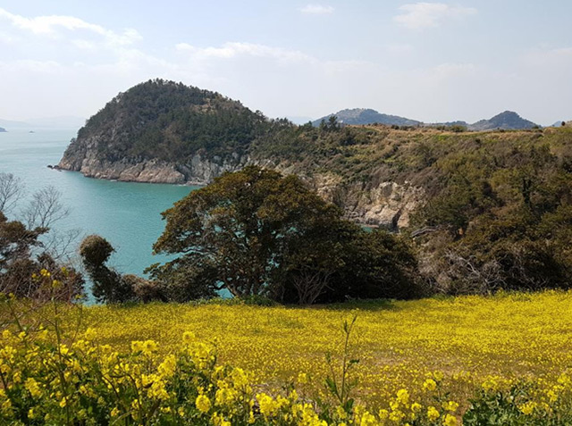 紫月島に外煙島…春にオススメの島7選