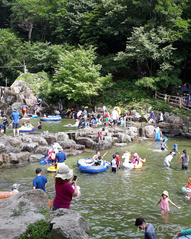 祝霊山自然休養林内の天然プールで水遊びを楽しもう！
