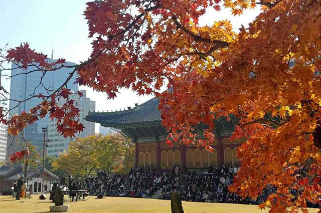 コーヒーを飲みながら秋を満喫、「徳寿宮正午の音楽会」開催