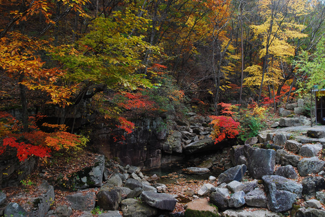 紅葉と奇岩怪石が織りなす絶景！　黄庭山岩花の森