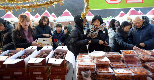 甘くておいしい！　陽村干し柿祭り開催