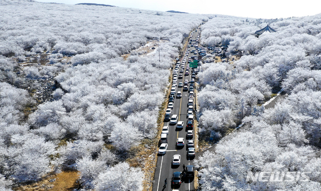 漢拏山1100道路、バスで雪景色を楽しもう！