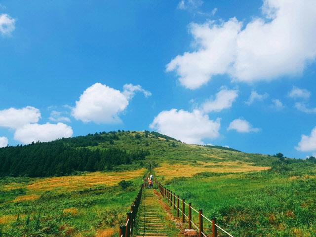 済州・ペギャギオルム