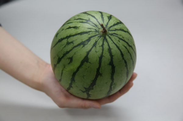 韓国で今、一人で食べ切る「ミニスイカ」が人気