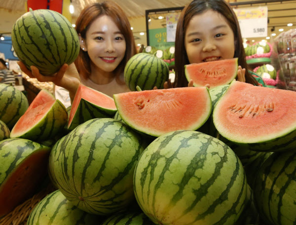 韓国で今、一人で食べ切る「ミニスイカ」が人気