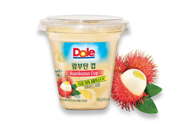 韓国食品業界、ミールキットや機内食など「美食旅行マーケティング」に注目