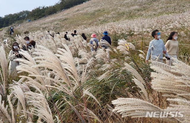 コロナ禍での済州旅行…キャンプ・車中泊・バックパッキングへの関心増