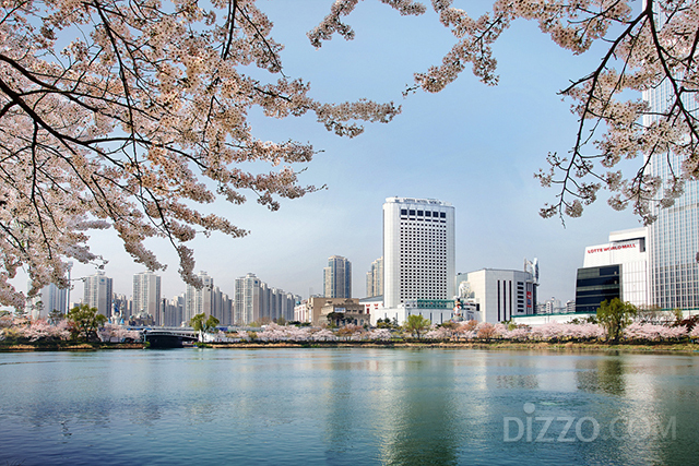 お花見も安全に…室内で桜を楽しむのにピッタリ、韓国でオススメの旅行先＆宿泊先