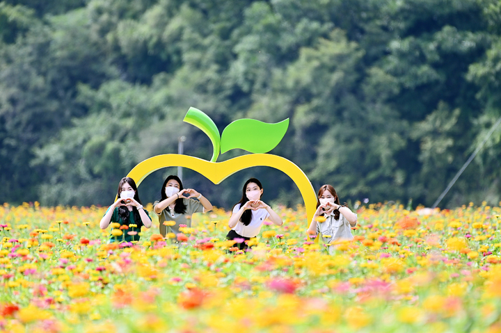 「秋の花の香りいっぱい」　青松郡、非接触ヒーリング観光地として人気