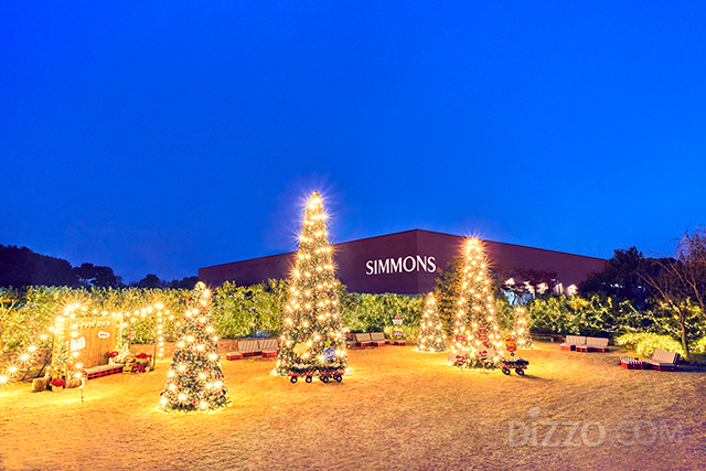 華やかな照明がクリスマスにピッタリ、韓国の注目フォトスポット