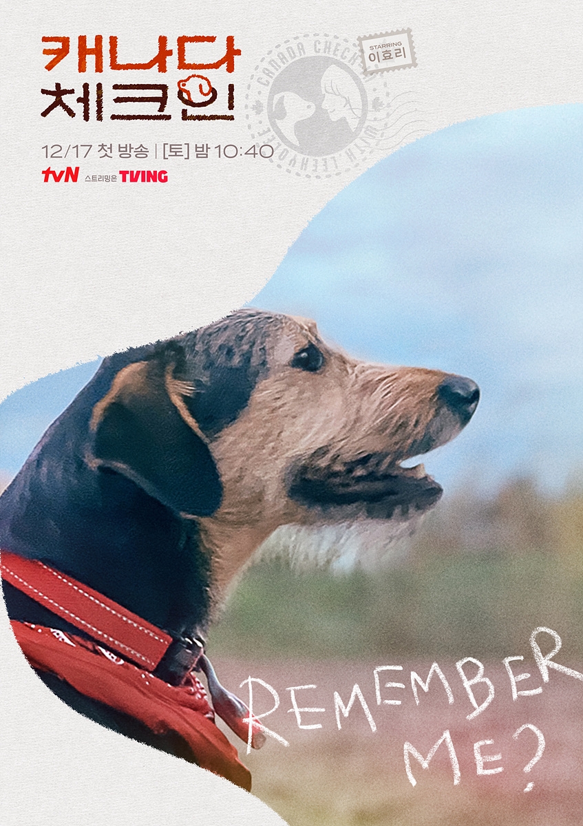 イ・ヒョリと犬の特別な視線…『カナダ・チェックイン』公式ポスター公開