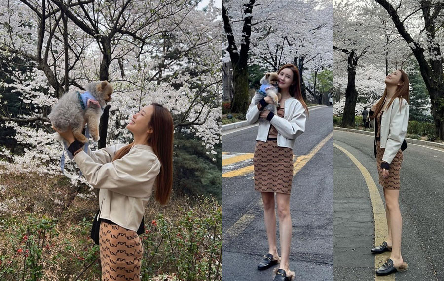 SE7ENと5月結婚のイ・ダヘ、桜の下で愛犬とパチリ…小顔と美スタイルに注目