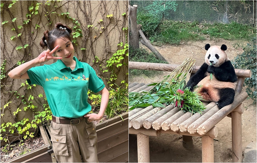 BoA、パンダの一日飼育員に　「願いがかなった」