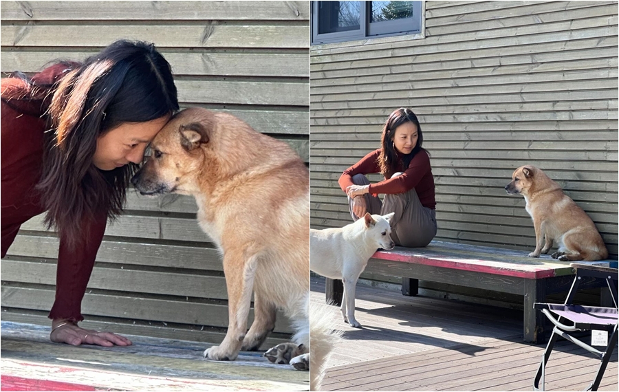 イ・ヒョリ、臨時保護中の犬とキス…済州で余裕あふれるひととき