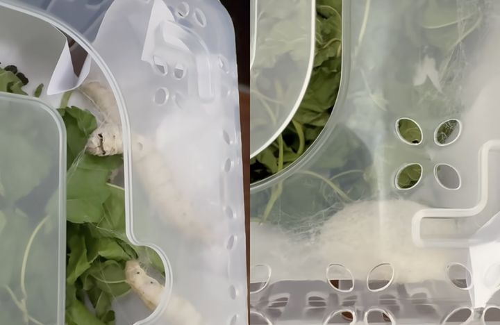 ソン・イェジン、SNSでサブアカウント作成…ファンら大注目