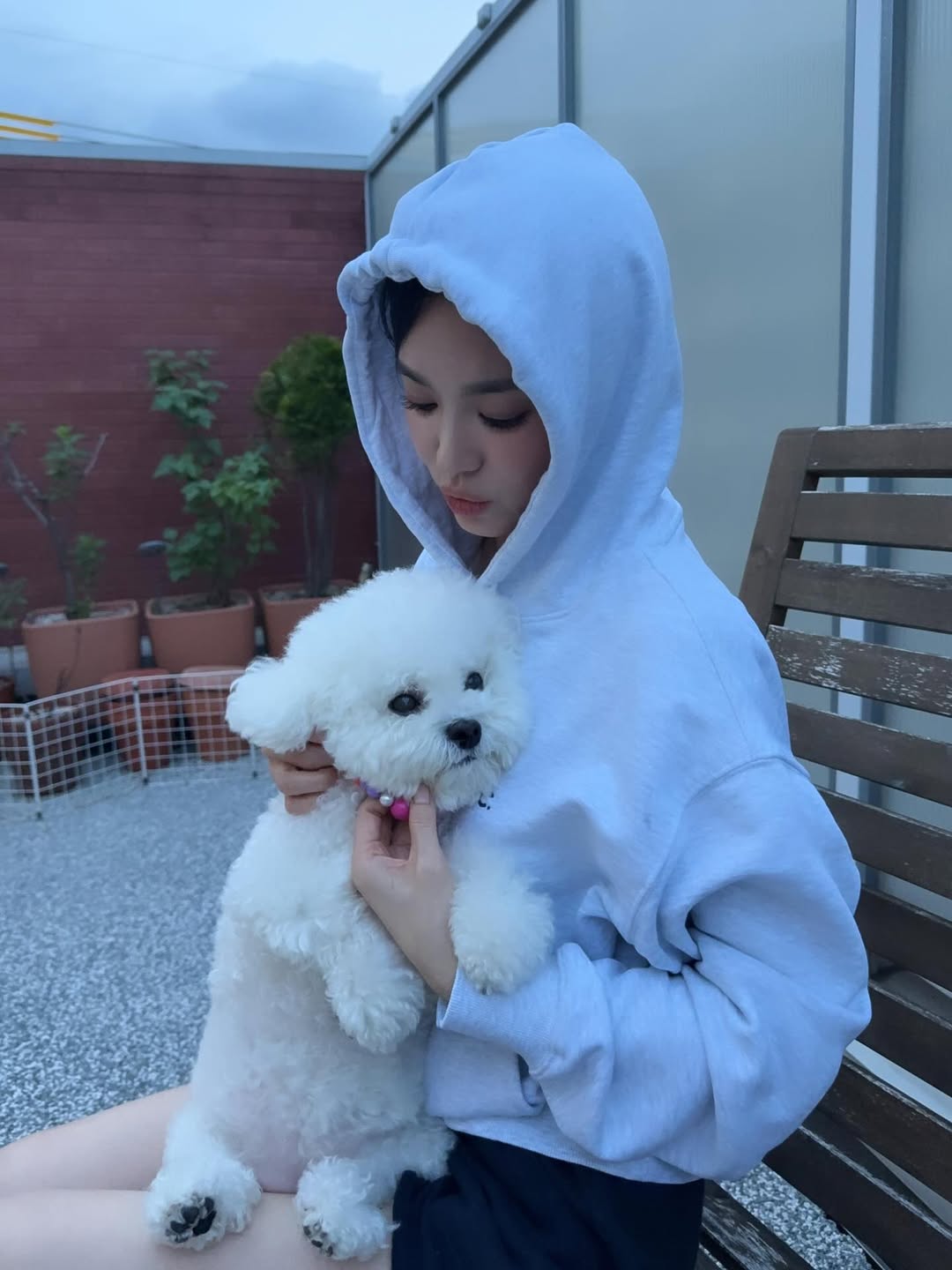 すっぴんのソン・ヘギョ、フェイスパック中でも隠せない美しさ