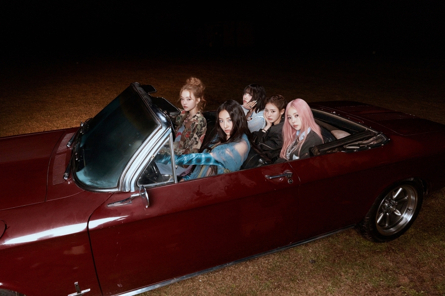 写真提供＝THE BLACK LABEL