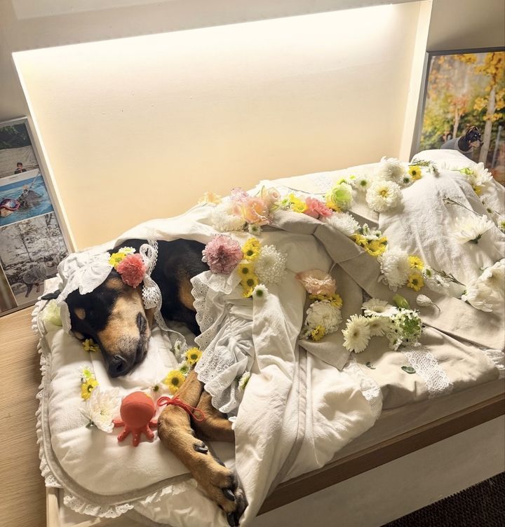 ペ・ジョンナムの愛犬ベル、心臓まひで息を引きとる　「とても愛しているよ」