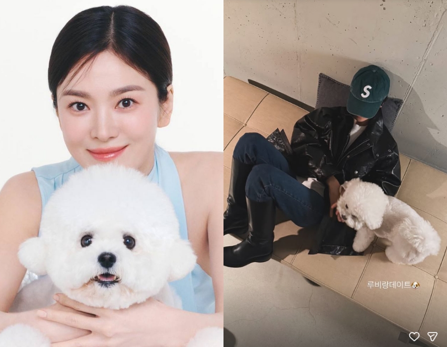 ソン・ヘギョ、クールなスタイルで愛犬と穏やかなひととき