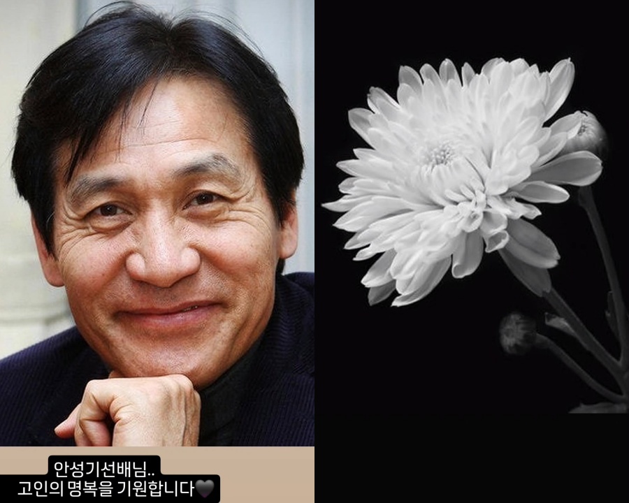 イ・ヨンエ、アン・ソンギさんを追悼　「ご冥福をお祈りいたします」