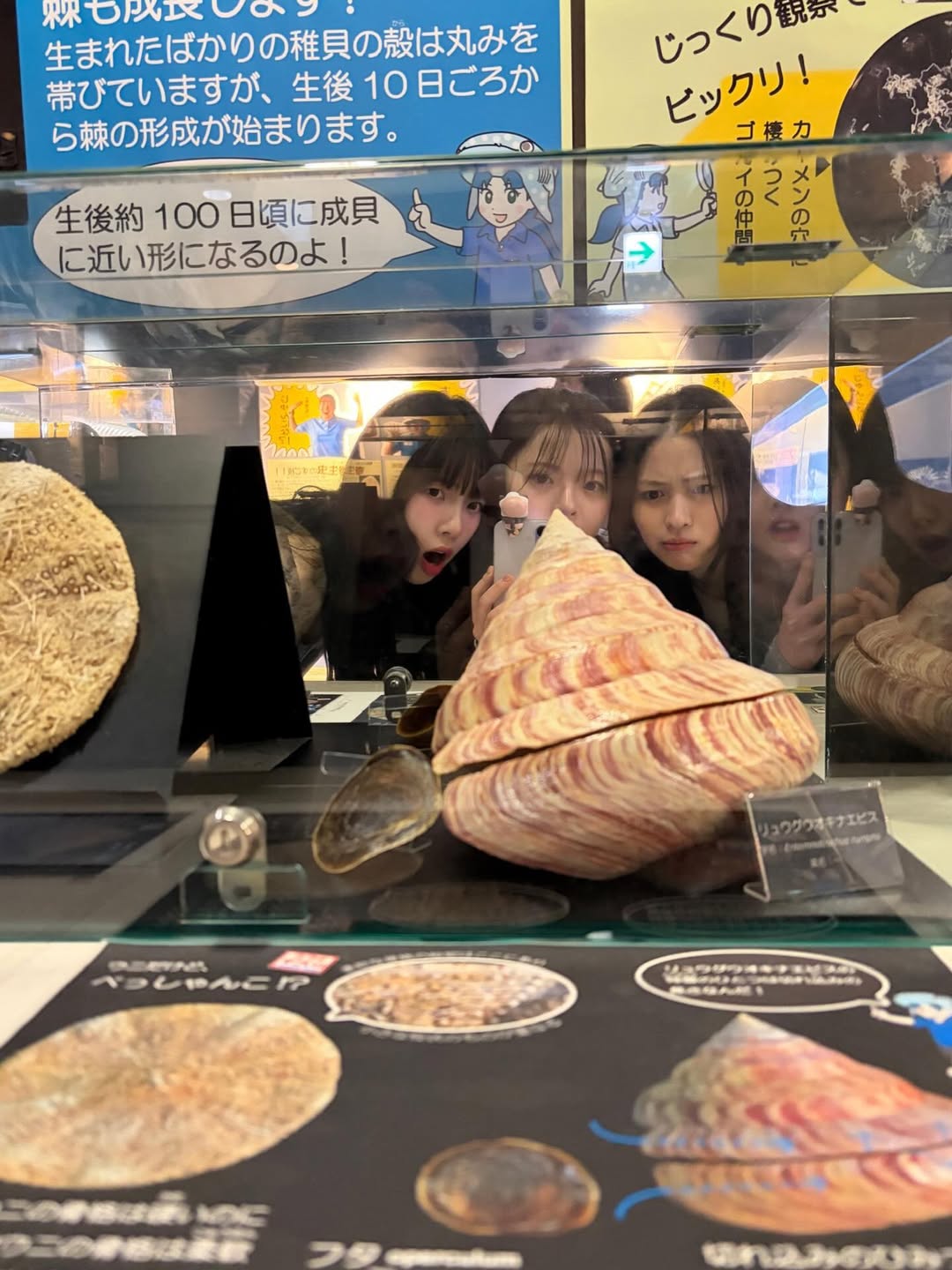 【フォト】aespaカリナ＆ITZYリュジン＆ハン・スア、「一番目＆二番目＆末っ子」Tシャツを着て日本旅行