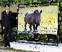 【フォト】ヒョンビン「絶滅危惧動物の保護を！」