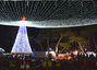 地方都市を彩る光の波「居昌クリスマスツリー文化祭り」