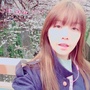 【フォト】Girl’s Dayミナ、日本のサクラを満喫