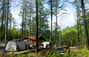 自然を満喫! 山林庁初、森の中のキャンプ場オープン