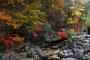 紅葉と奇岩怪石が織りなす絶景! 黄庭山岩花の森