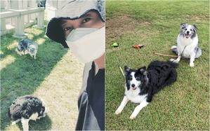 救急処置の善行で話題のキム・ヒョンジュン、愛犬と共に散歩中