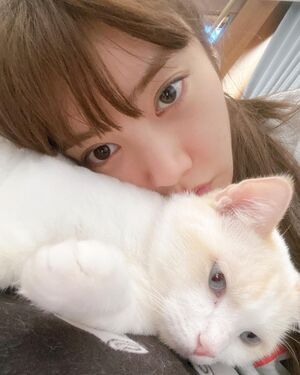 ソン・ダムビ、愛猫と自撮り 「目が魅惑的」