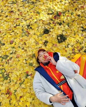 「登山の妖精」イ・シヨン、内蔵山で秋を満喫