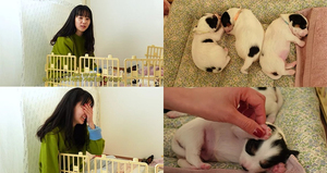 ユン・スンアが近況報告、捨て犬を臨時保護中