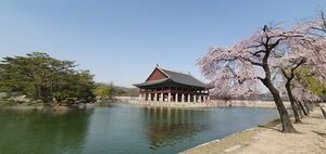 王宮・朝鮮王陵で春の花が平年より2ー7日早く開花