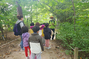 春は森に行ってみる? 国立山林科学院、洪陵の森で解説プログラム開始