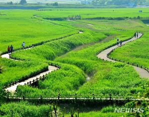 世界遺産「韓国の干潟」は海の上の庭園…あらためて見る「順天・舒川・コチャン・新安」