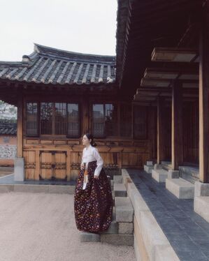 【フォト】ミン・ヒョリン　東洋画のように美しい韓服姿