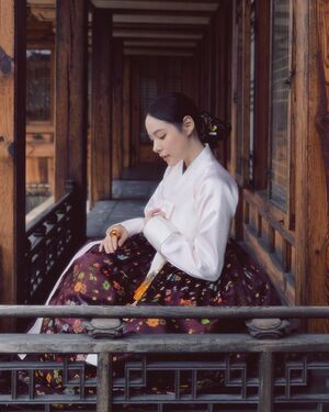 【フォト】ミン・ヒョリン　東洋画のように美しい韓服姿