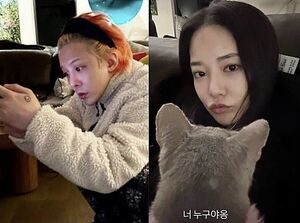 イ・ジュヨンと5度目の交際説浮上のG-DRAGON「事実ではない」