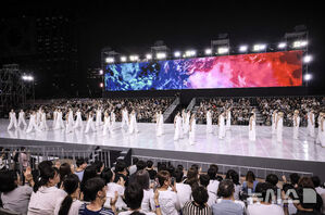 【フォト】「光復80年前夜祭」景福宮でBUMSUPが公演　／ソウル