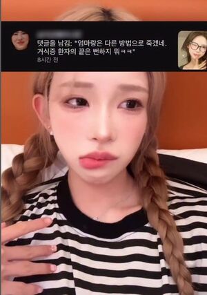 チェ・ジュニ、母チェ・ジンシルに言及した悪質コメントに怒り 「あなたはずっと豚として生きて…さようなら」