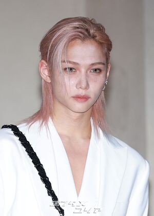 【フォト】Stray Kidsフィリックス「純白の王子様」…ピンクヘア＆ビジュアルのラスボス