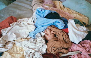 イ・サンスンが夫婦の幸せな日常公開、洗濯物に覆われたキュートな妻イ・ヒョリ