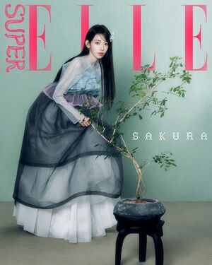 【フォト】LE SSERAFIM　目が離せない上品な韓服姿…「ELLE KOREA」表紙飾る