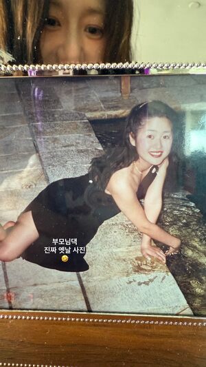 54歳コ・ヒョンジョン「ミス・コリア」のオーラ…若いころの写真公開